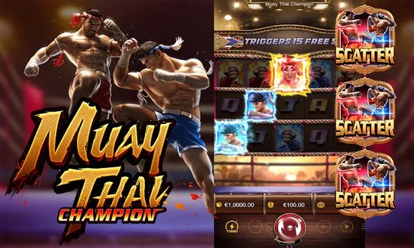 Khám phá tính năng thưởng hấp dẫn trên Muay Thai Champion