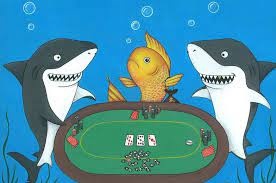 Fish trong Poker: Dấu hiệu nhận biết và kinh nghiệm xử lý hay