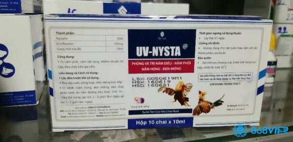 Chữa gà bị nấm họng bằng thuốc đặc trị UV – NYSTA
