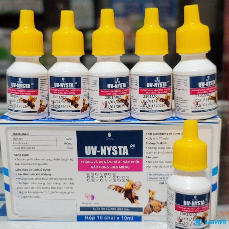 Nystatin: Bôi trực tiếp vào vùng bị nhiễm nấm ở trong miệng và họng gà, 2-3 lần/ngày.