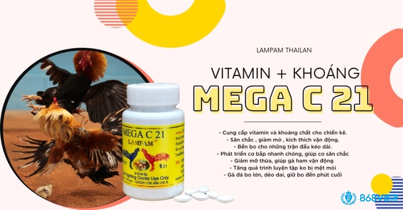 Trộn vitamin và khoáng chất vào thức ăn hoặc là nước uống theo hướng dẫn của nhà sản xuất