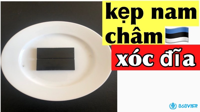 Kẹp nam châm xóc đĩa có những bộ phận nào?