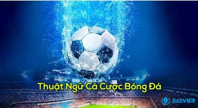 Thuật ngữ cá độ bóng đá với kèo cược Châu Âu ra sao?