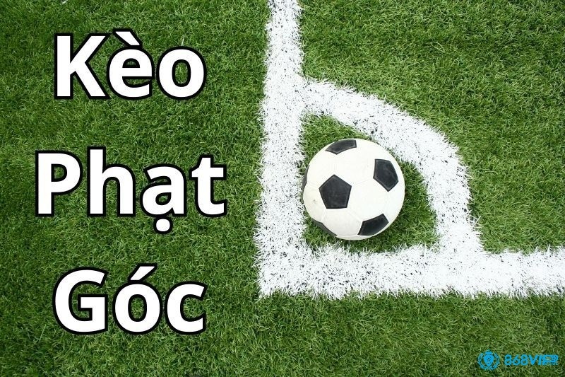 Kèo không có phạt góc là gì? Cẩm nang chốt kèo hiệu quả nhất